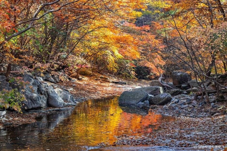쇠점골계곡_4_공공3유형.jpg