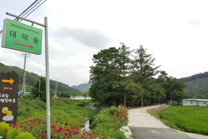 대덕숲유원지_3_공공3유형.jpg