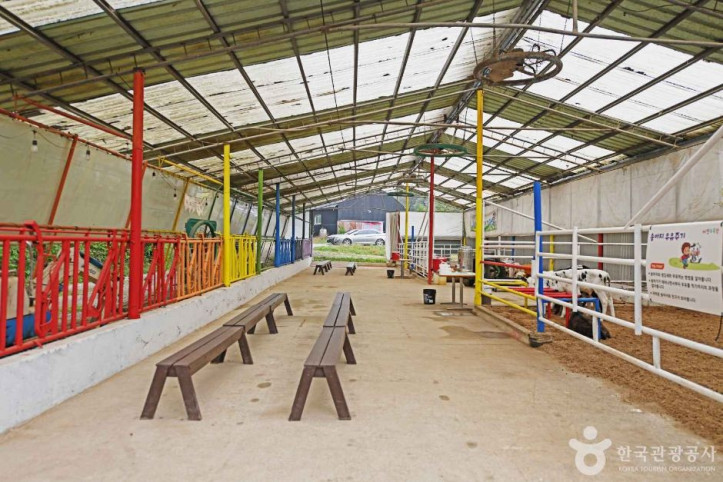진주목장_낙농체험_4_공공3유형.JPG
