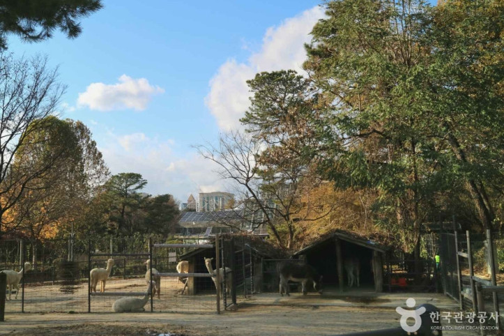 서울어린이대공원_5_공공1유형.JPG