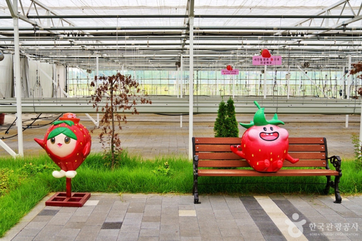 딸기향농촌테마공원_5_공공3유형.JPG