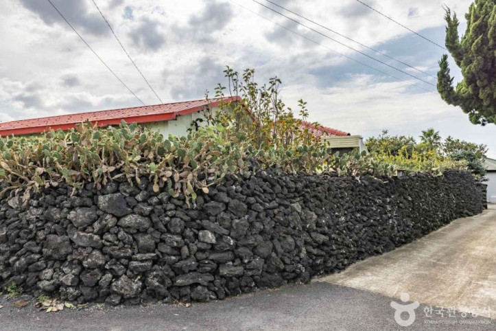 제주선인장마을_10_공공3유형.jpg