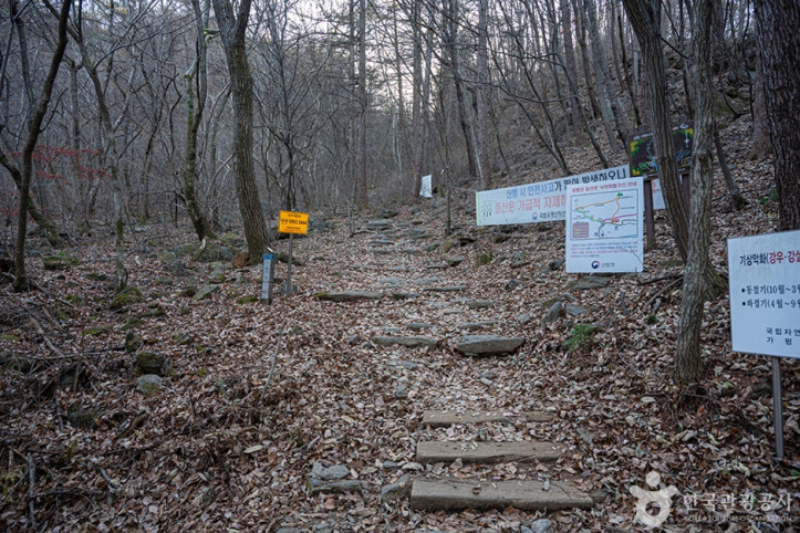 유명산_1_공공3유형.jpg