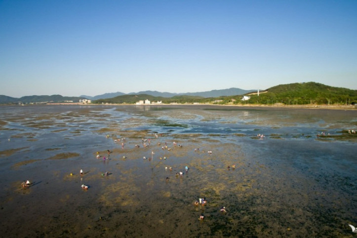 군헌갯벌체험장_1_공공3유형.jpg