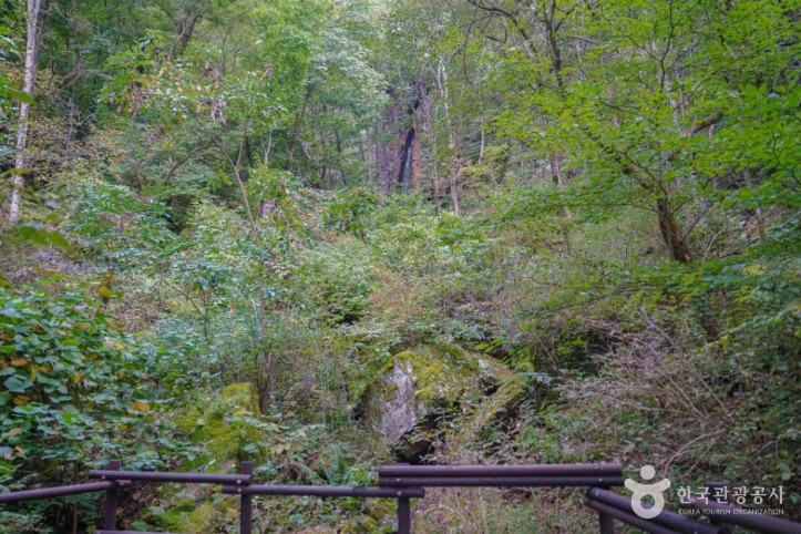 천일폭포_3_공공1유형.jpg