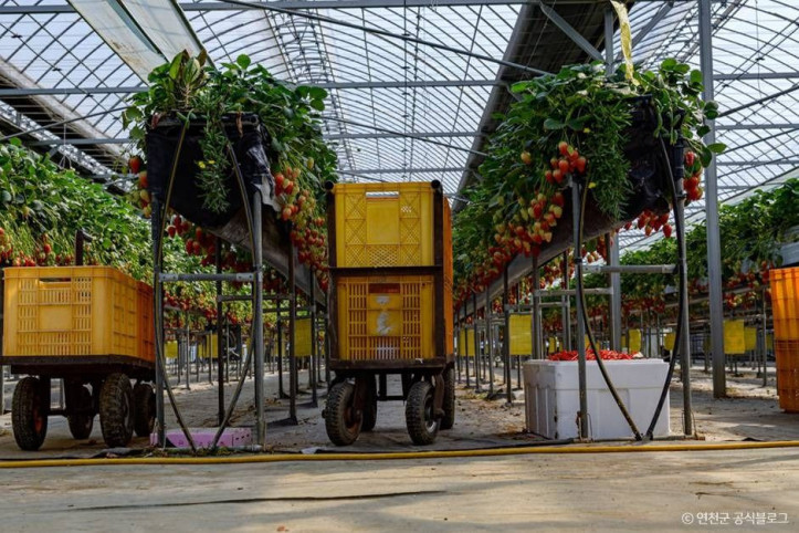 들꽃가람농장_4_공공3유형.jpg