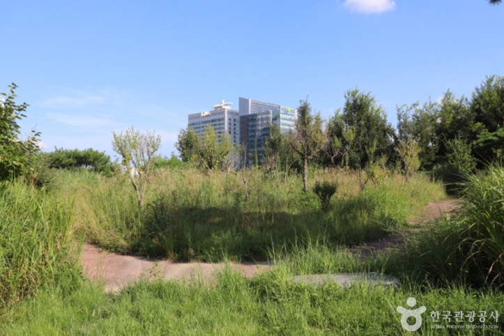 정부대전청사_자연마당_8_공공3유형.JPG