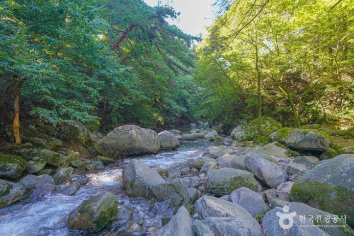 기백산_용추계곡과_용추폭포_2_공공1유형.jpg