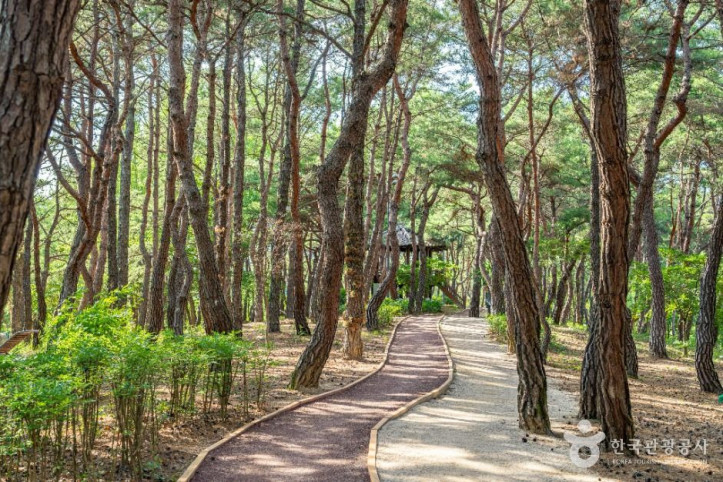 천년숲_6_공공1유형.jpg