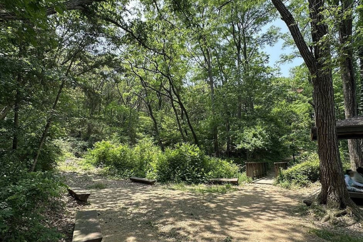 서울대공원_산림욕장_4_공공3유형.jpg