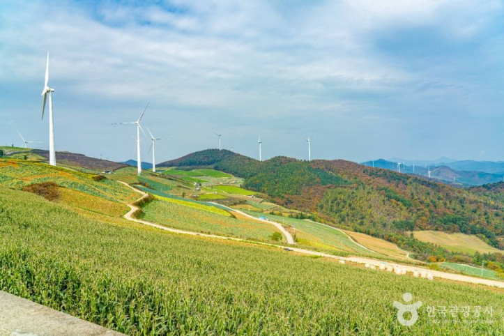 매봉산풍력발전단지(바람의_언덕)_1_공공1유형.jpg