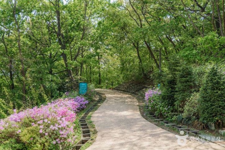 북서울꿈의숲_2_공공1유형.jpg