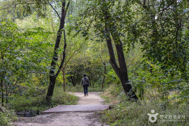 여의도샛강생태공원_4_공공1유형.jpg