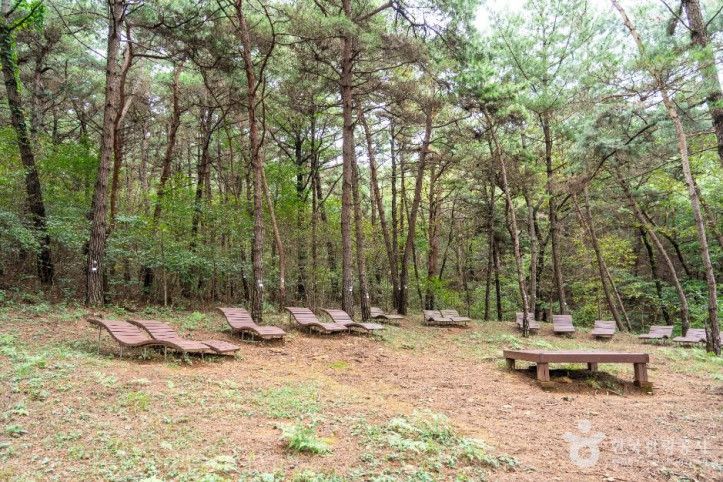서천_치유의_숲_4_공공1유형.jpg