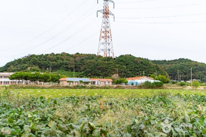 황토권역_당나루물꽃마을_3_공공1유형.jpg