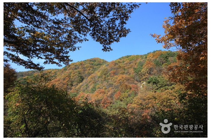 치악산국립공원_5_공공3유형.jpg