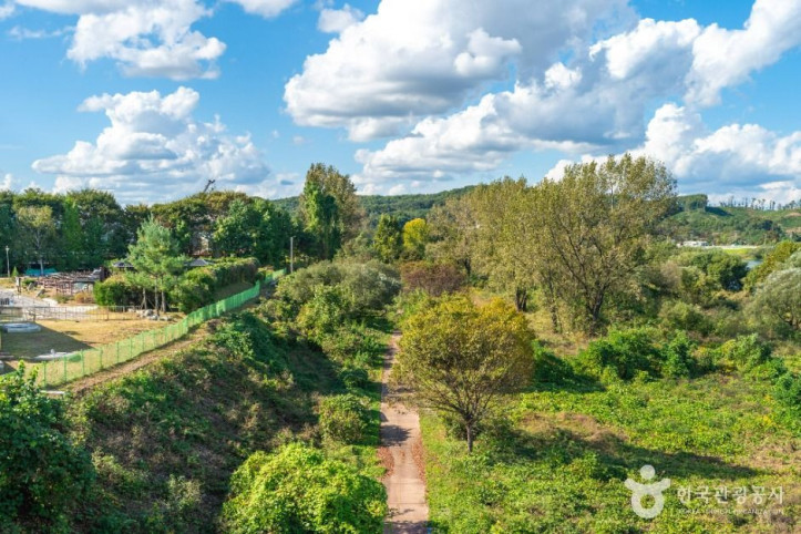 충주_강변길_4_공공1유형.JPG