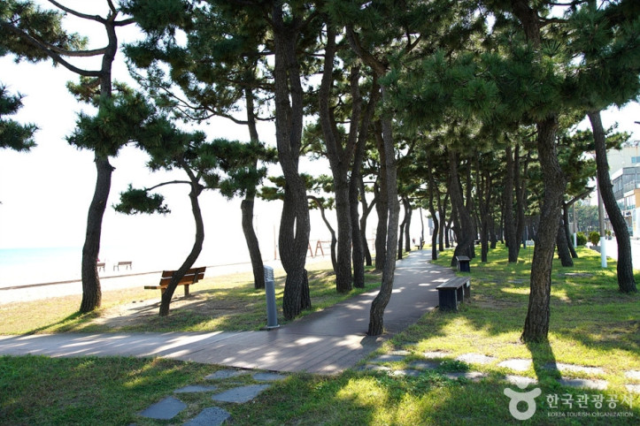 낙산도립공원_4_공공3유형.jpg