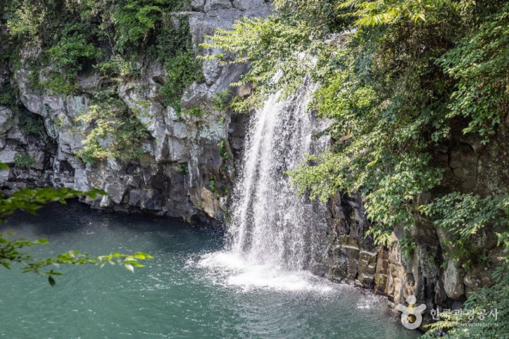 천제연폭포_5_공공1유형.jpg