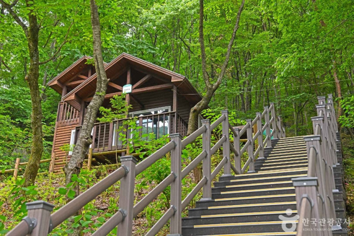 민주지산_자연휴양림_4_공공3유형.JPG