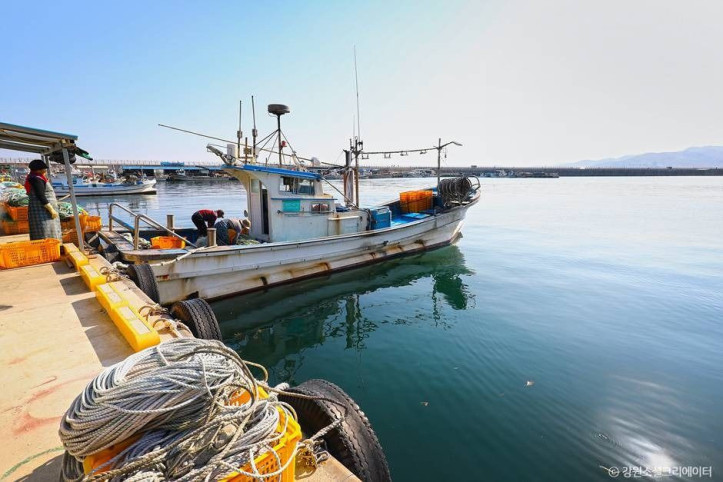 금진항(강릉)_1_공공3유형.jpg