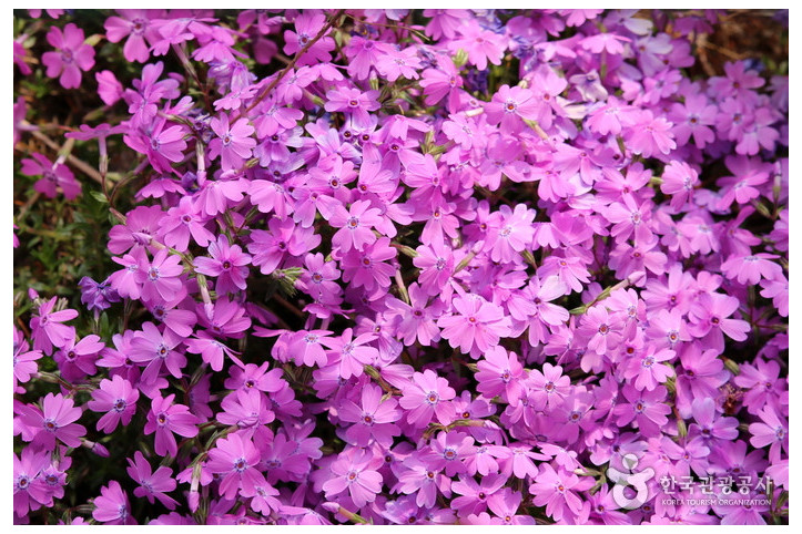 고운식물원_5_공공3유형.jpg