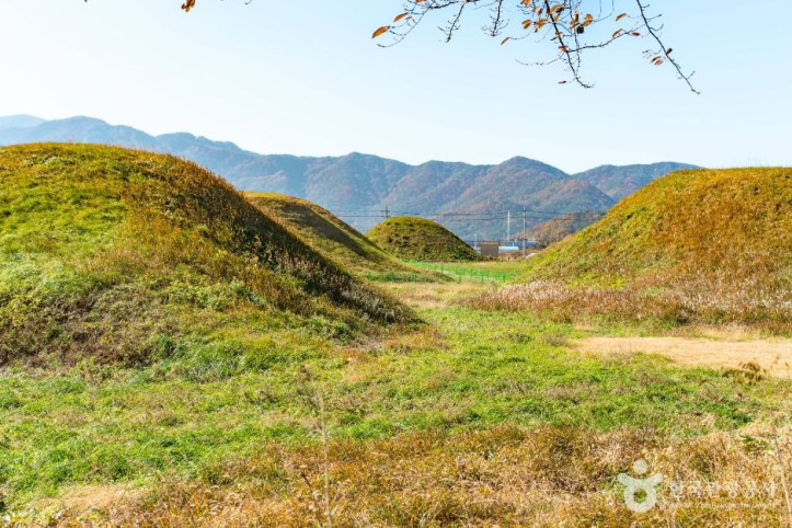경주_금척리_고분군_2_공공1유형.jpg