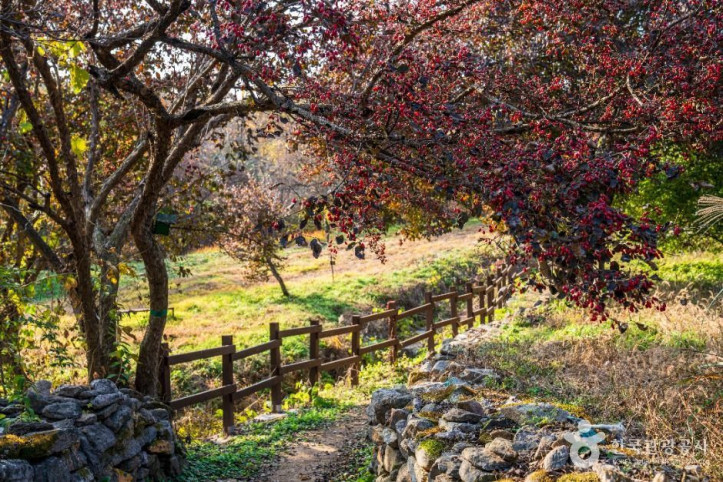 이천_산수유마을_3_공공1유형.jpg