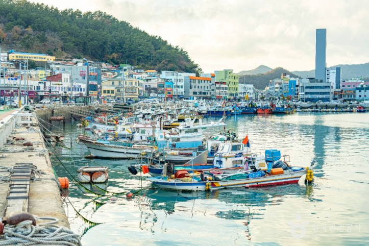완도항_2_공공1유형.jpg