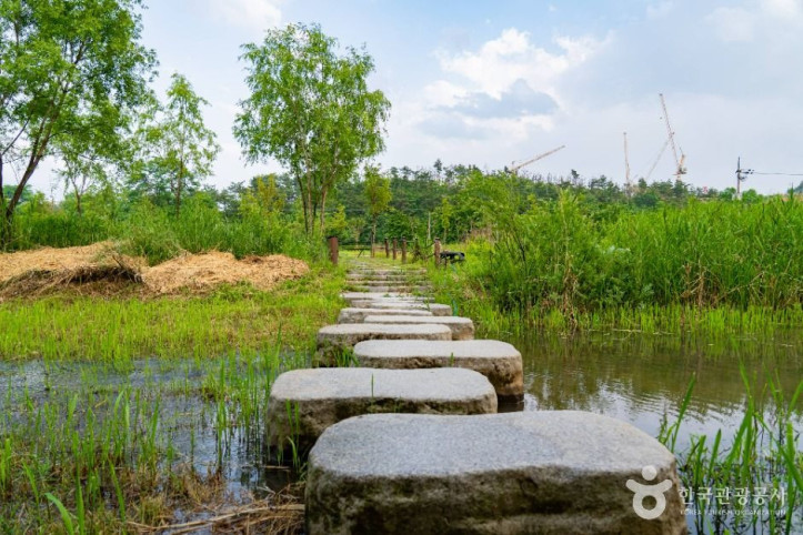 영랑호_습지생태공원_4_공공1유형.jpg
