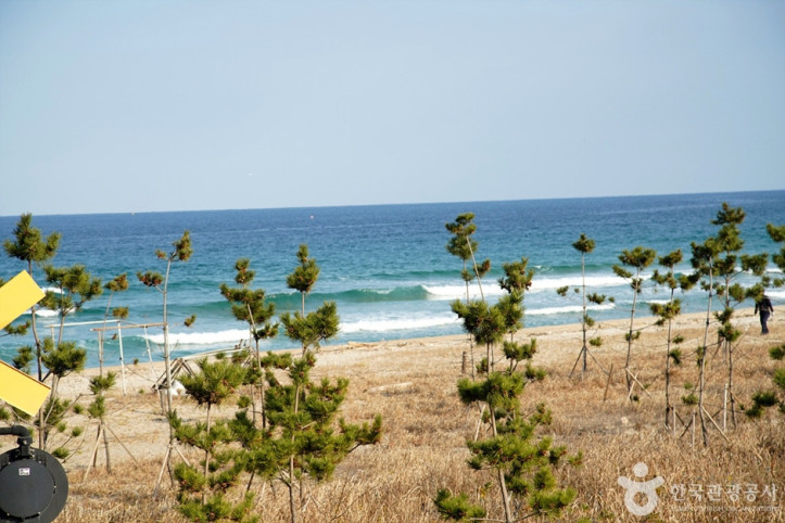 도직해변_3_공공3유형.jpg