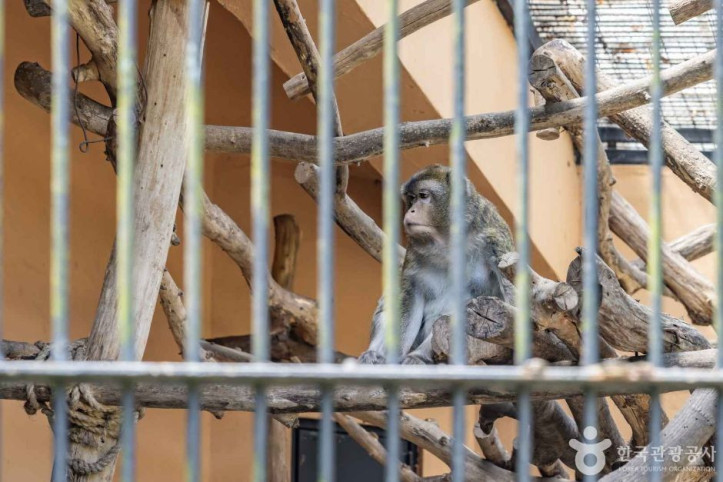 청주동물원_2_공공3유형.jpg
