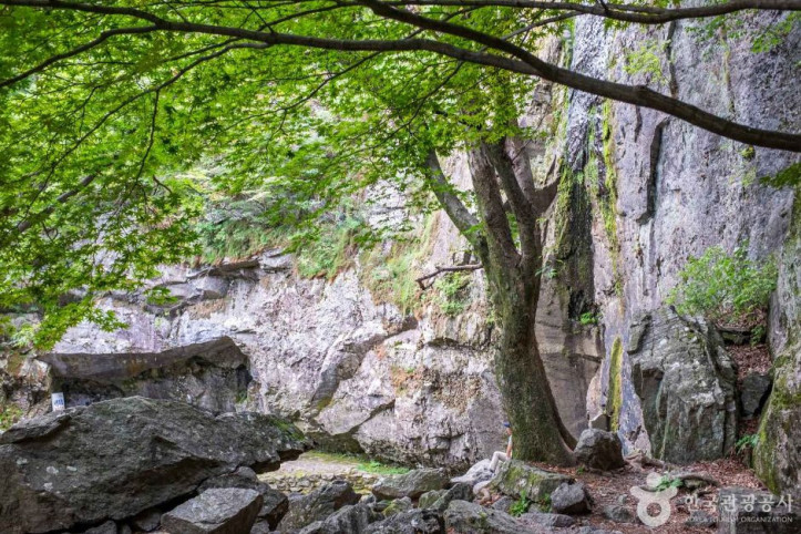 대혜폭포_4_공공3유형.jpg