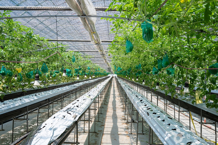 에덴농장_4_공공3유형.jpg