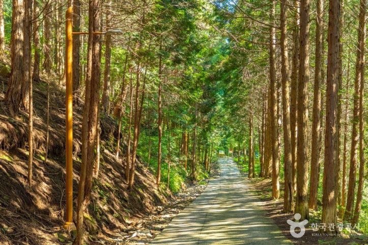 하동_편백자연휴양림_5_공공1유형.jpg