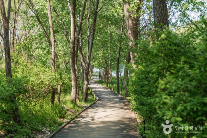 광나루한강공원_암사생태공원_6_공공1유형.jpg