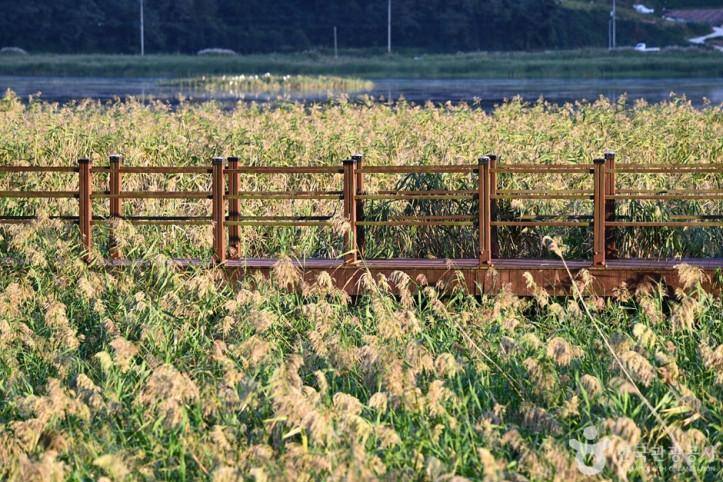 여수_가사리_생태공원_5_공공3유형.jpg