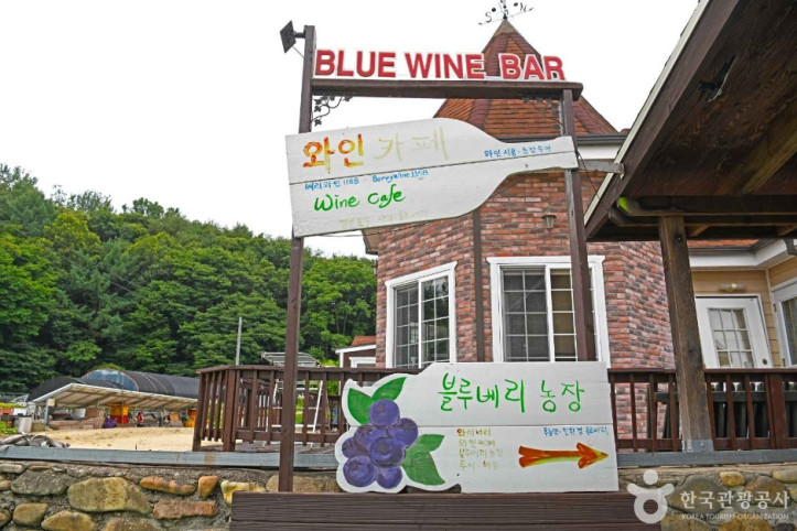 영동블루와인농원_5_공공3유형.JPG