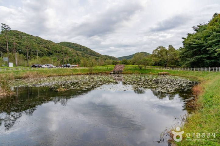 침강저류지_1_공공1유형.jpg