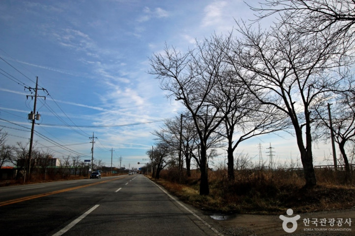 전군가도100리벚꽃길_5_공공3유형.JPG