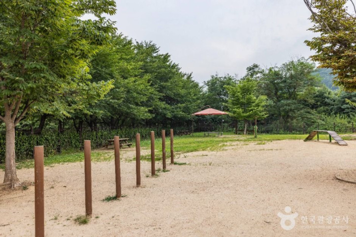 인천대공원_반려동물_놀이터_2_공공1유형.jpg