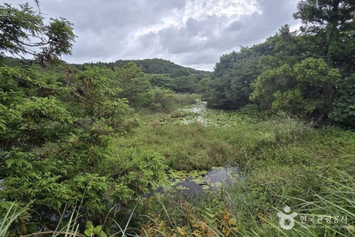 갈마못(갈뫼못)_5_공공3유형.jpg