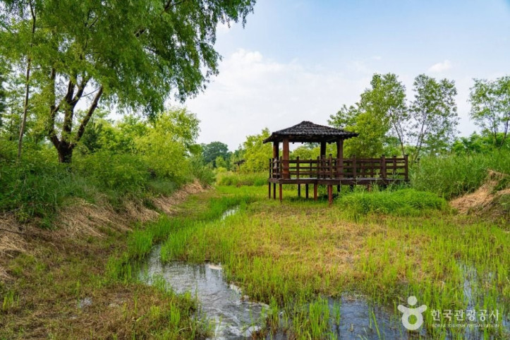 영랑호_습지생태공원_2_공공1유형.jpg
