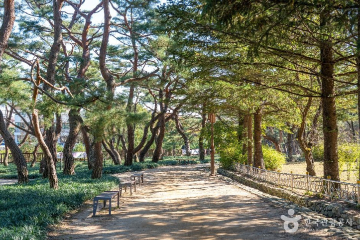 의림지_솔밭공원_3_공공1유형.jpg