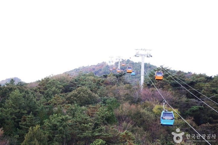 플라이웨이_케이블카_5_공공3유형.JPG