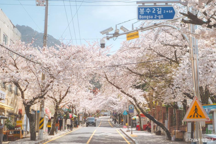 봉숫골_벚꽃길_2_공공1유형.jpg