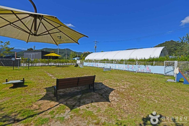 춘천시_반려견놀이터_같이놀개_4_공공3유형.JPG