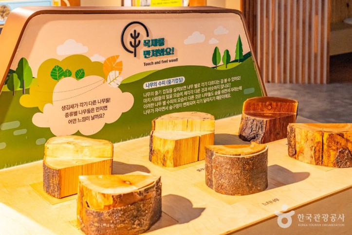 예천목재문화체험장_1_공공1유형.jpg