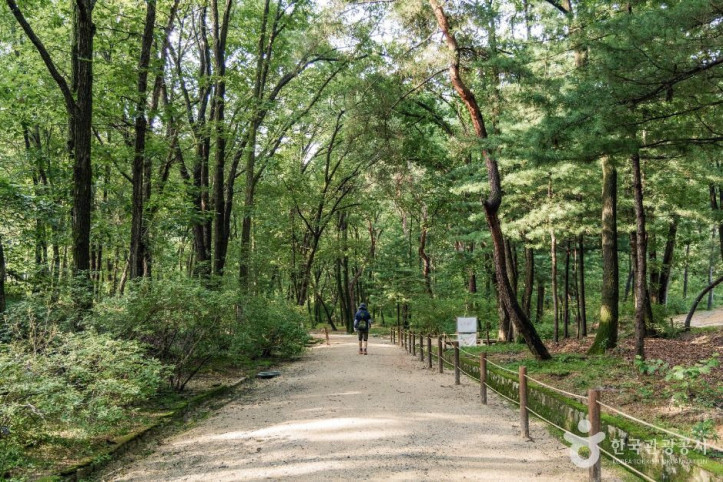 고양_서오릉_[유네스코_세계유산]_8_공공1유형.jpg