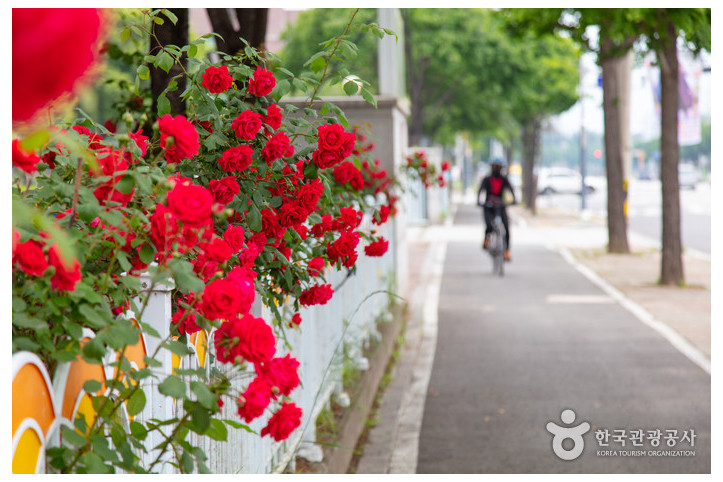 의암호자전거길(봄내길코스)_4_공공3유형.jpg